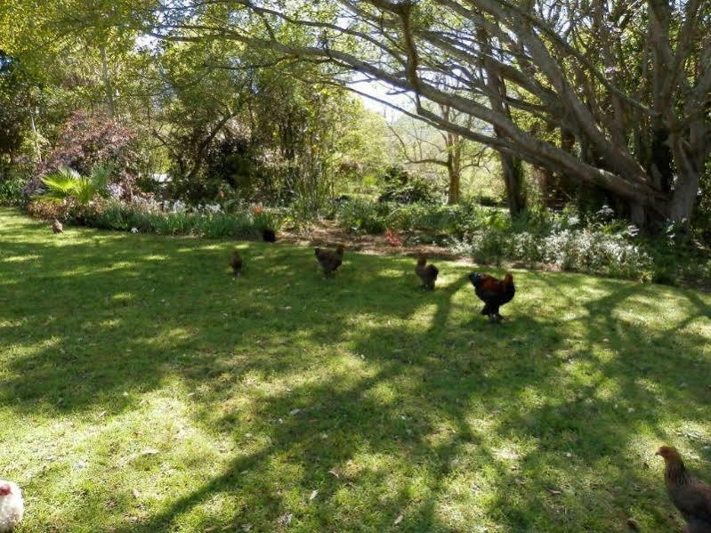 Braeside Guest House (Adults Only) Swellendam Buitenkant foto